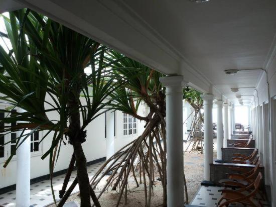 Ap Nippon Beach Hikkaduwa Extérieur photo